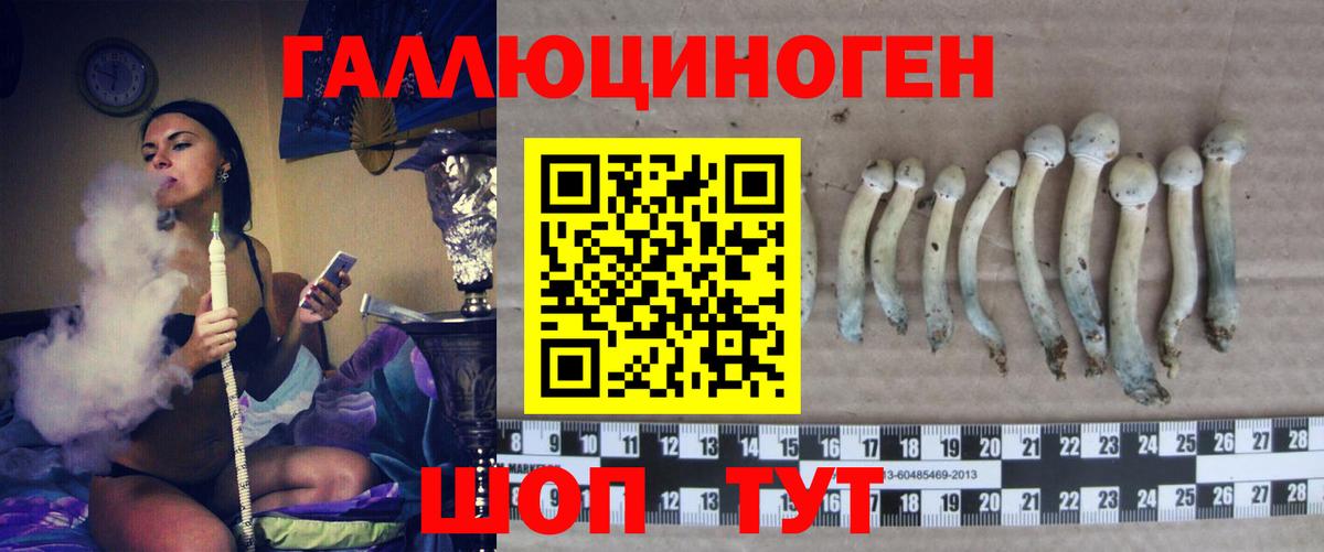 Галлюциногенные грибы мухоморы  Вход с VPN  Старая Купавна 
