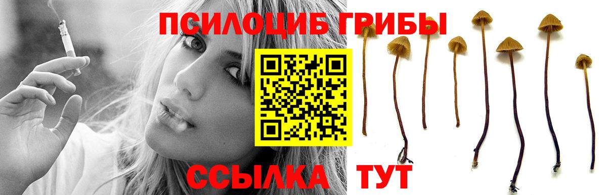Меф кристаллы  Кокаин  Канабис  Alpha-PVP СОЛЬ кристаллы  НБОМе  Старая Купавна  Меф  Вход с VPN 
